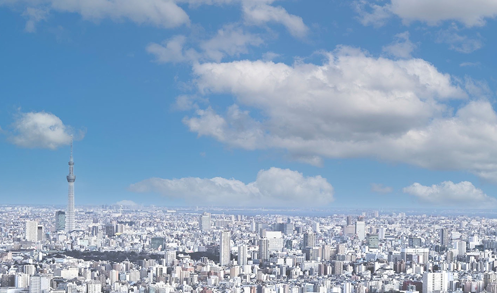 サンシャイン クルーズ